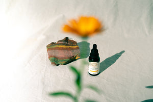 ACEITES MACERADOS EN HIERBAS Y FLORES